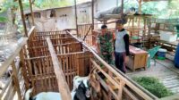 IMG-20260713-WA0144