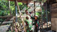IMG-20260720-WA0244
