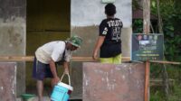 IMG-20260726-WA0241