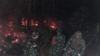 IMG-20260730-WA0075