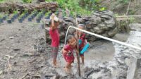 IMG-20260730-WA0394