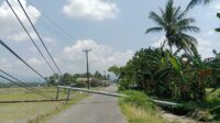 IMG-20260802-WA0048