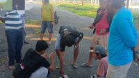 IMG-20260802-WA0055