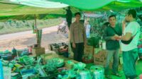 IMG-20260805-WA0383