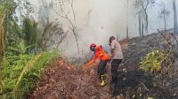 IMG-20260806-WA0203