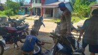 IMG-20260812-WA0298