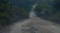 IMG-20260815-WA0334