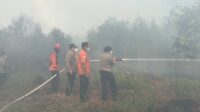 IMG-20260822-WA0444